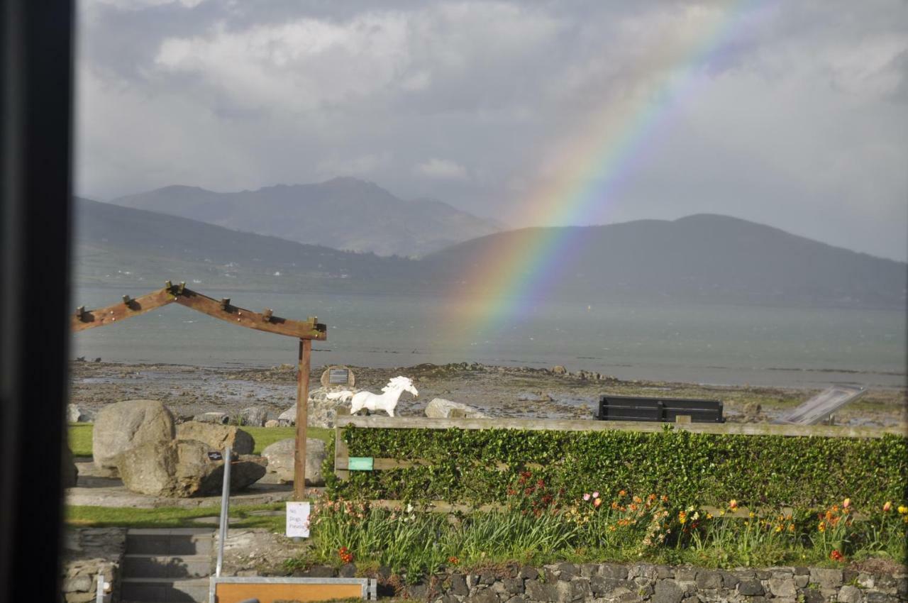 Shalom Carlingford